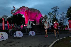 BIB: 
                            <button type="button" onclick="openModal(26529728)" class="btn btn-primary btn-sm float-right btn-popup" data-toggle="modal" data-target=".modal-high-quality">
                        <i class="fas fa-shopping-cart"></i> Add to Cart
                    </button>
                                            <button type="button" onclick="isThisMe(26529728, true)" class="btn btn-success btn-sm float-right btn-popup btn-isme hidden" data-toggle="tooltip" data-placement="bottom" title="นี่คือรูปของคุณใช่ไหม คลิกที่นี่เพื่อเอาเข้าอัลบั้ม">
                        <i class="fas fa-plus"></i> Add to album
                    </button>
                    <button type="button" onclick="isThisMe(26529728, false)" class="btn btn-warning btn-sm float-right btn-popup btn-isnotme hidden">
                        <i class="fas fa-ban"></i> Remove from album
                    </button>